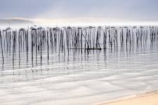 Véronique LARRUE - LARRUE VERONIQUE